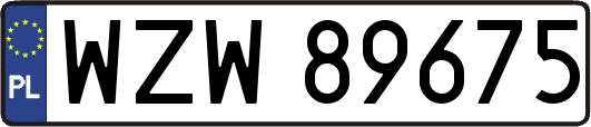WZW89675