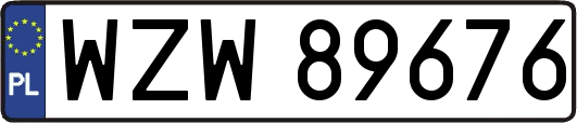 WZW89676