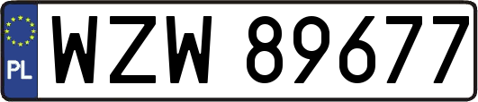 WZW89677