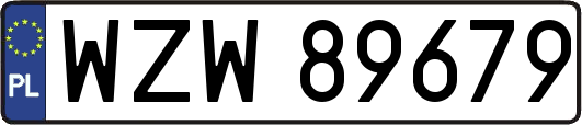 WZW89679