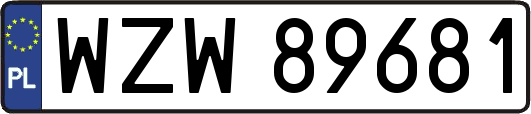 WZW89681