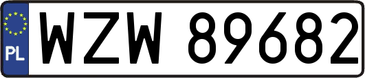 WZW89682