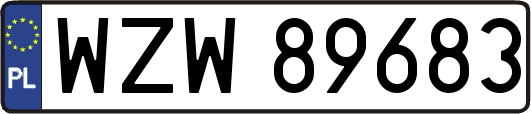 WZW89683
