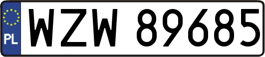 WZW89685