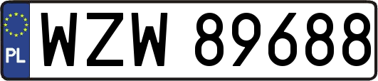 WZW89688