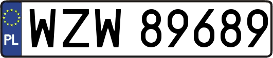 WZW89689