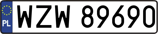 WZW89690