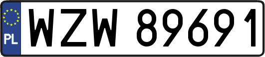 WZW89691