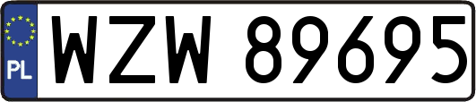 WZW89695