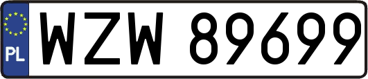 WZW89699