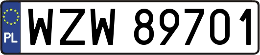 WZW89701