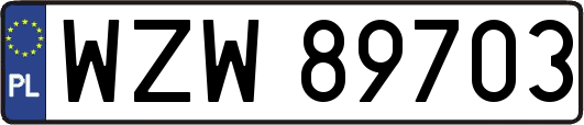 WZW89703