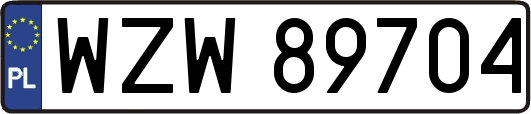 WZW89704