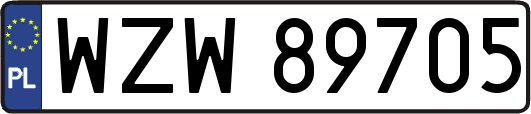 WZW89705