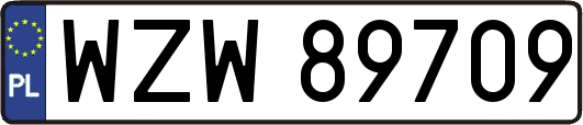 WZW89709