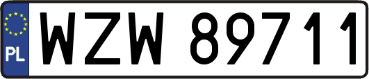 WZW89711