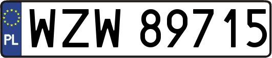 WZW89715