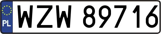 WZW89716