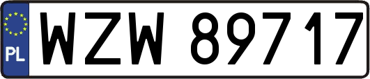 WZW89717