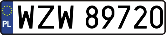 WZW89720