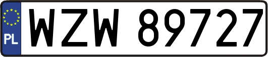 WZW89727
