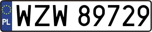 WZW89729