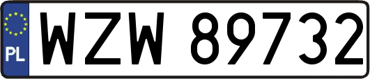 WZW89732