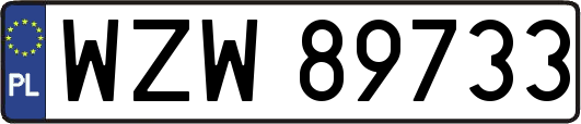 WZW89733
