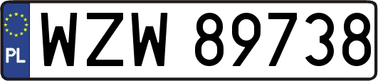 WZW89738