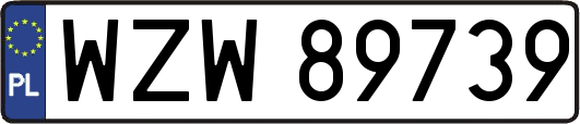 WZW89739