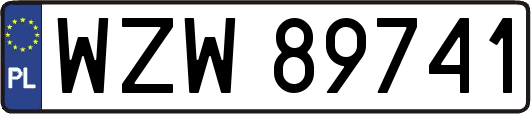WZW89741