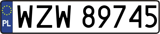 WZW89745