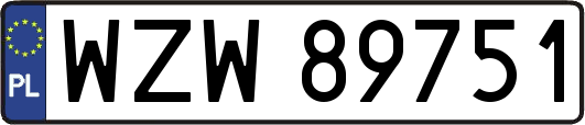 WZW89751
