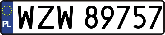 WZW89757