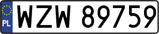 WZW89759