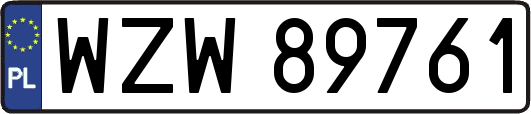 WZW89761