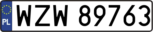 WZW89763