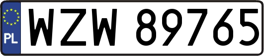 WZW89765