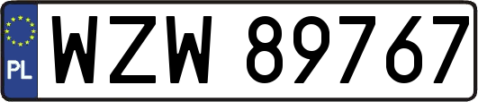 WZW89767