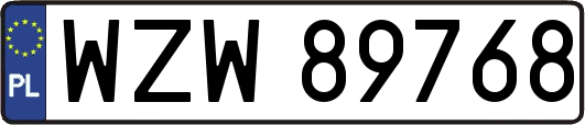 WZW89768