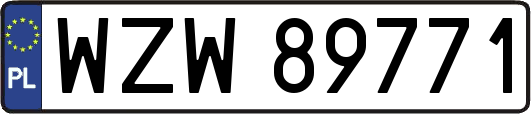 WZW89771