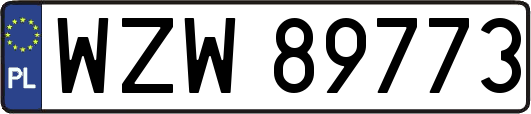 WZW89773