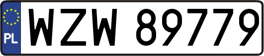 WZW89779