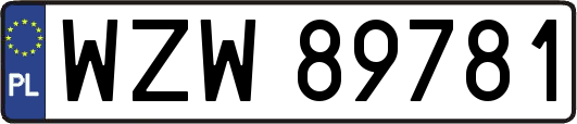 WZW89781