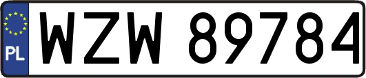 WZW89784