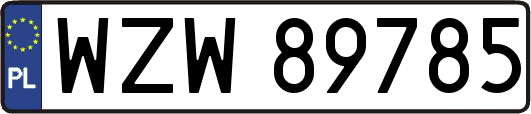 WZW89785