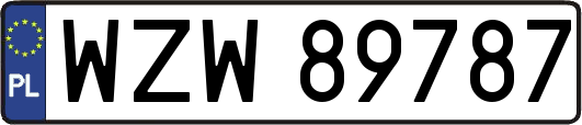 WZW89787