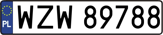 WZW89788