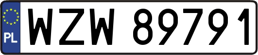 WZW89791