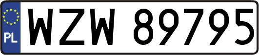 WZW89795